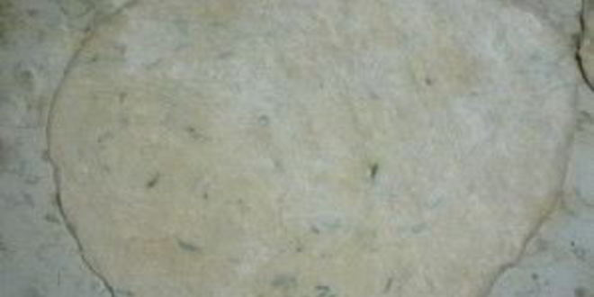 Рецепт лепешек из дрожжевого теста на сковороде