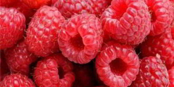 Рецепт маффинов с малиной