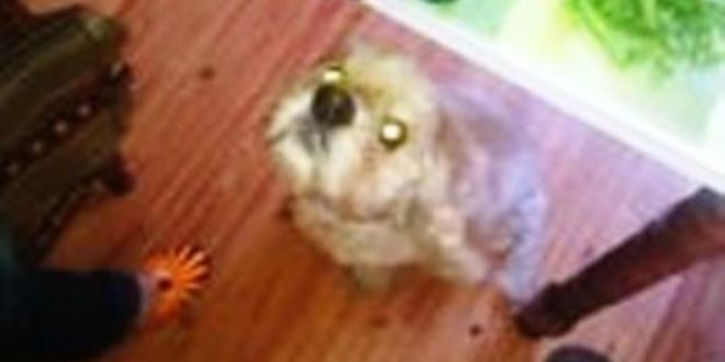 Рецепт сказочных маффинов