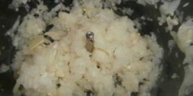 Рецепт геркулесовых оладий