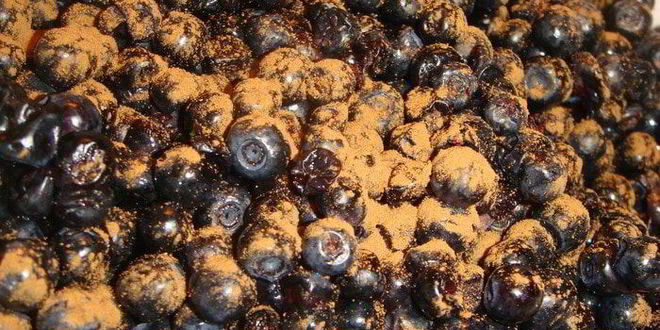 Рецепт овсяного печенья с черникой и корицей