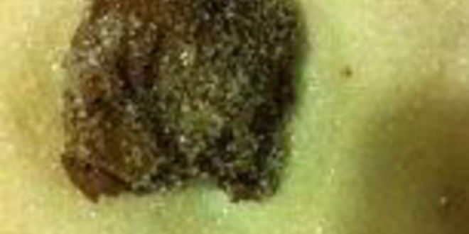 Рецепт печенья-брауни с двойным шоколадным вкусом