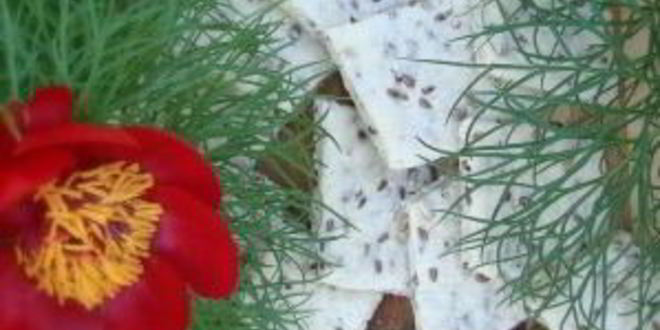 Рецепт печенья зернового лукас