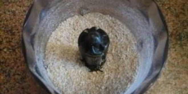 Рецепт постного морковна-овсяного печенье