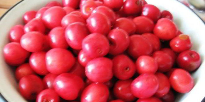 Рецепт английского традиционного черешневого пирога