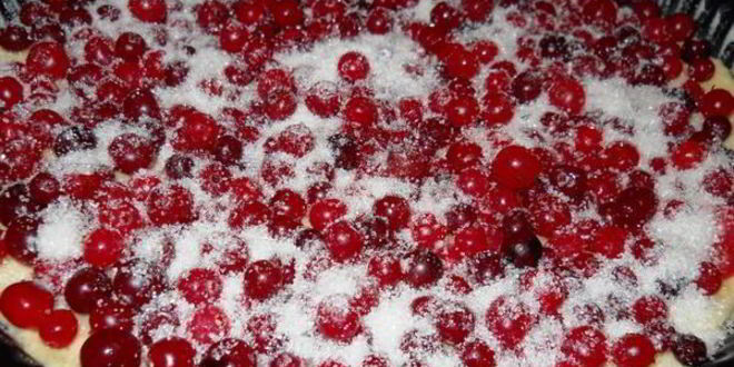 Рецепт пирога лимонного с клюквой