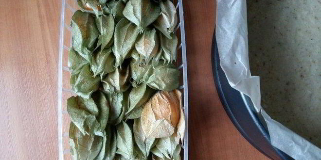 Рецепт пирога с физалисом