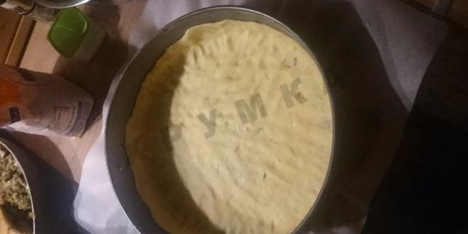 Рецепт пирога с курицей, грибами и луком