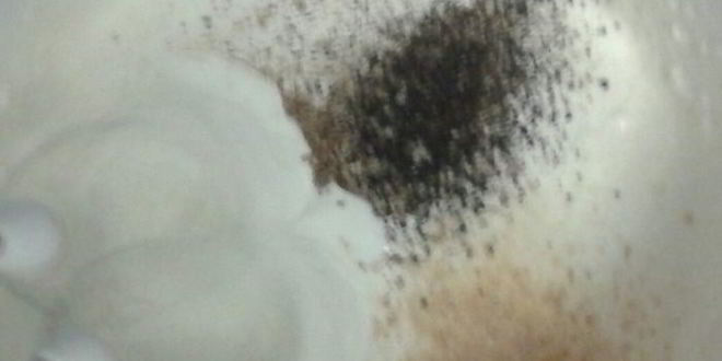 Рецепт рыбного пирога на гречневых блинах