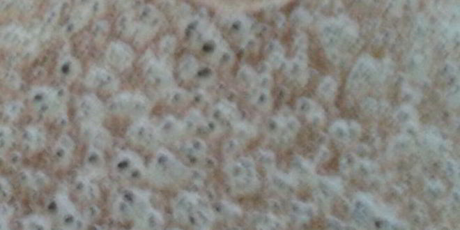 Рецепт рыбного пирога на гречневых блинах