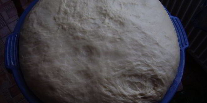 Рецепт пирожков с мясом, капустой и творогом