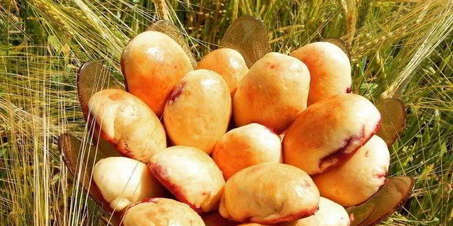 Рецепт сдобных пирожков с вишней