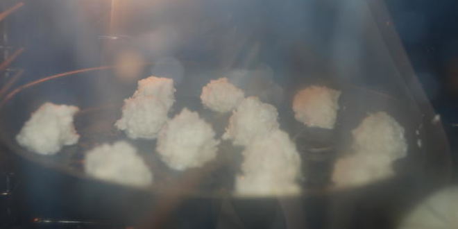 Рецепт кокосовых пирожных