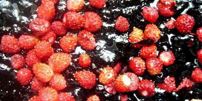 Рецепт пирожного с черничным киселем, земляникой и сливками