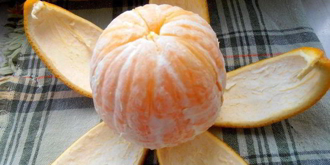 Рецепт цитрусовых пирожных