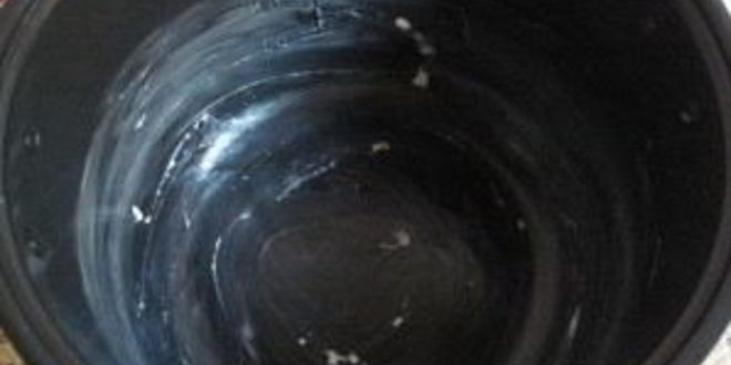 Рецепт банановой коврижки в мультиварке