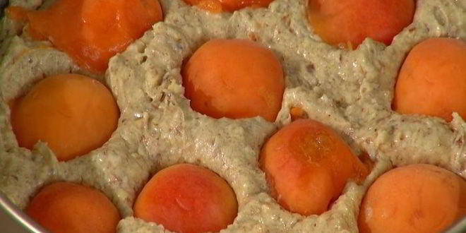 Рецепт миндальной коврижки с абрикосами