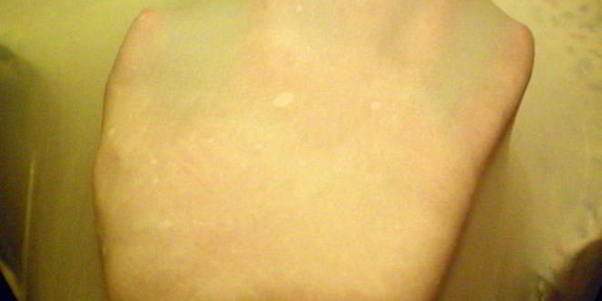 Рецепт штруделя с яблоками и орехами