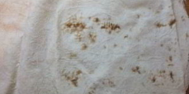 Рецепт яблочного штруделя