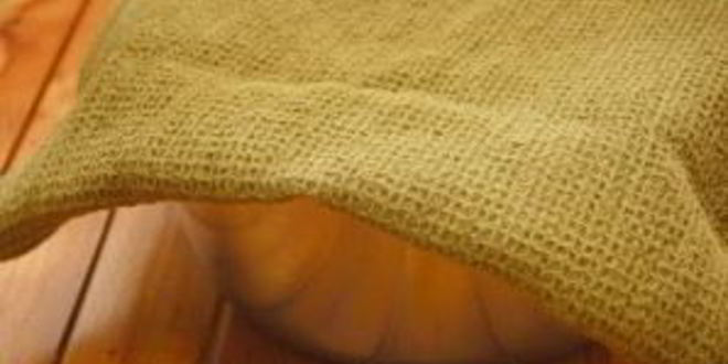 Рецепт теста для пиццы на пиве