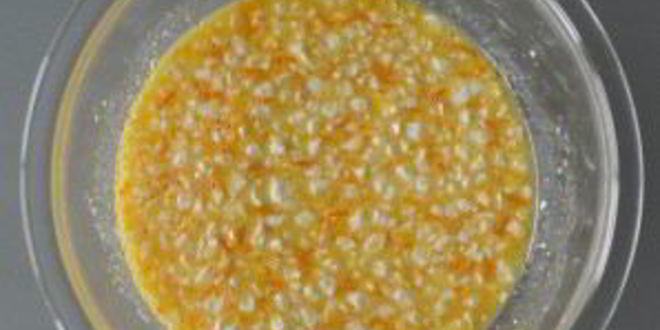 Рецепт творожной запеканки с апельсиновой цедрой