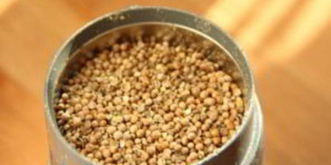 Рецепт аджики грузинской