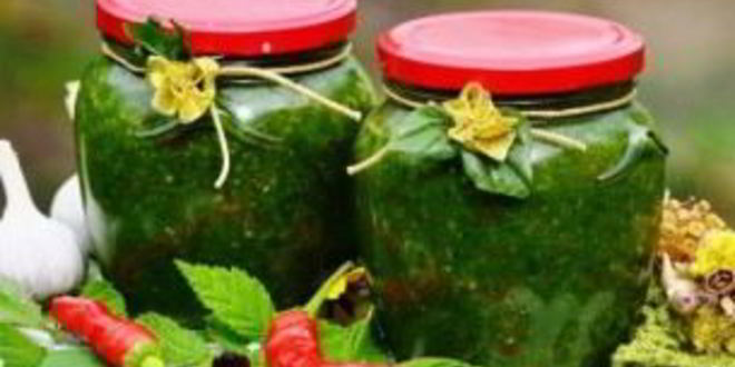 Рецепт аджики из петрушки
