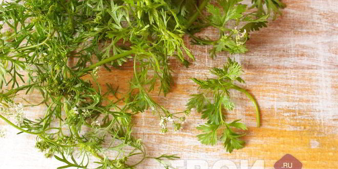 Рецепт аджики из зеленого перца