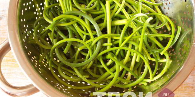 Рецепт аджики из зеленого перца