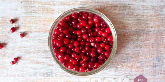 Рецепт брусники на зиму