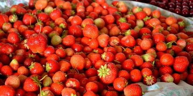 Рецепт ленивого клубничного джема