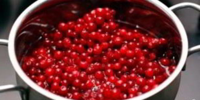 Рецепт компота из брусники и яблок