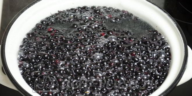 Рецепт компота из черники