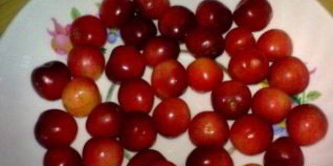 Рецепт компота из кумквата