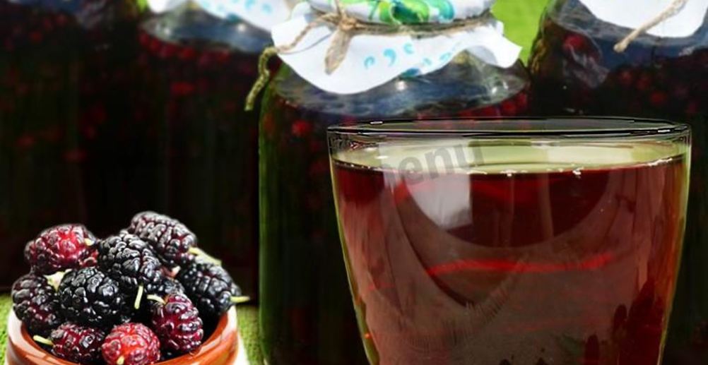 Рецепт вино из шелковицы