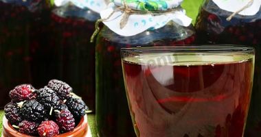 Рецепт Компота из шелковицы