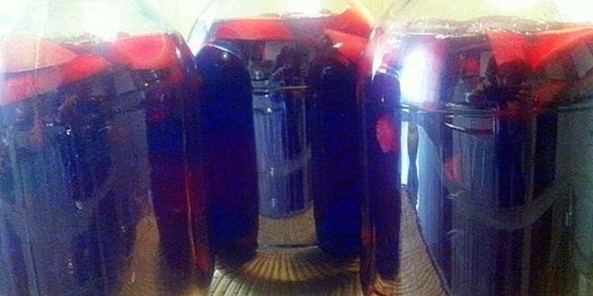 Рецепт компота из терна и яблок