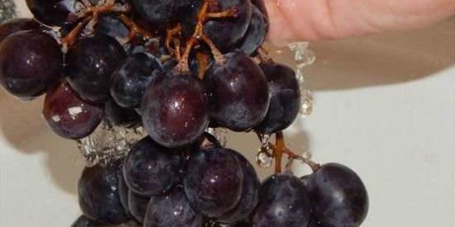 Рецепт компота из винограда на зиму