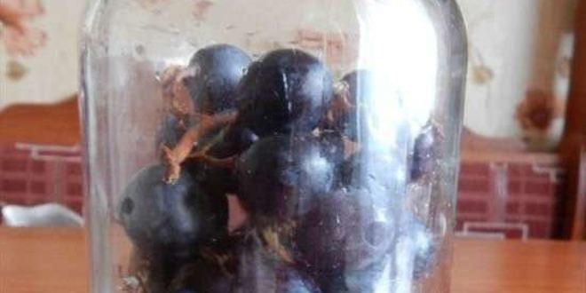 Рецепт компота из винограда на зиму