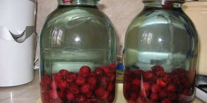 Рецепт компота из вишен с косточками на зиму