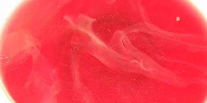 Рецепт компота из вишен с косточками на зиму