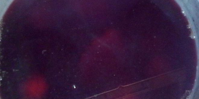 Рецепт компота из замороженных ягод