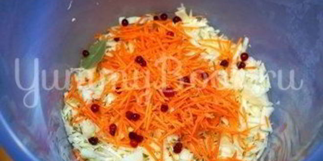 Рецепт квашеной капусты с клюквой
