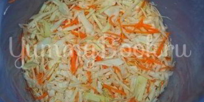 Рецепт квашеной капусты с клюквой