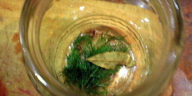 Рецепт ботвы свеклы маринованная