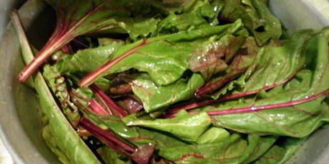 Рецепт ботвы свеклы маринованная