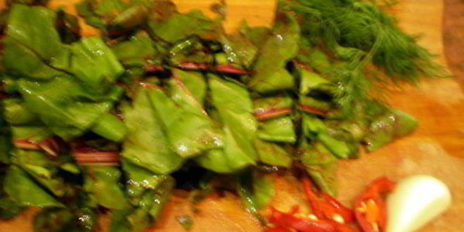 Рецепт ботвы свеклы маринованная