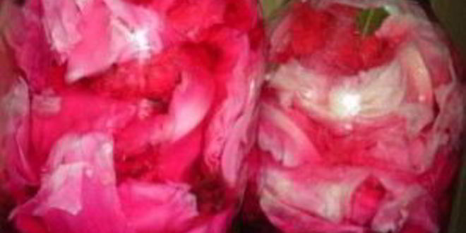 Рецепт капусты острой по-корейски