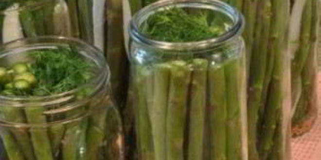 Рецепт маринованной спаржи