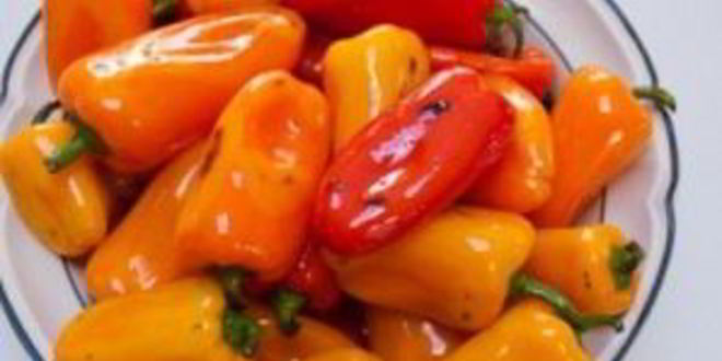 Рецепт маринованного перца без закатки